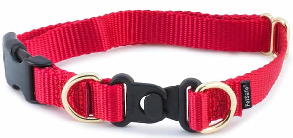 dog collar breakaway style in red